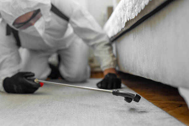 Professional Bed Bug Control technician working in Orleans, IN